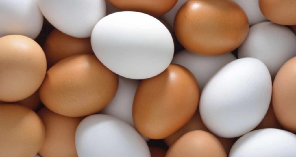 Yumurtada Besin Değerini Koruyan Pişirme Yöntemleri ve Isı Kontrolünün Önemi